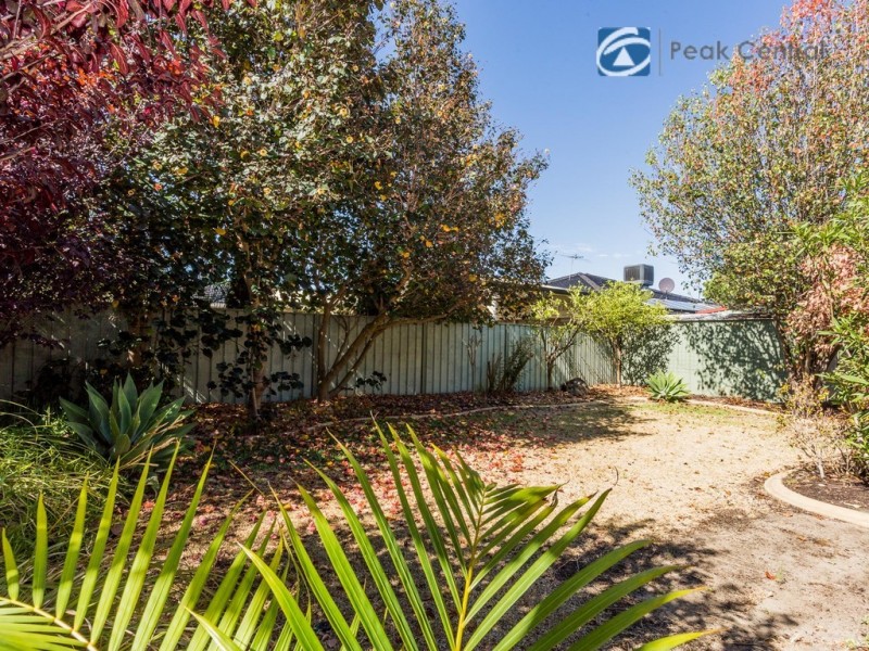 3 Quong Place, Atwell WA 6164