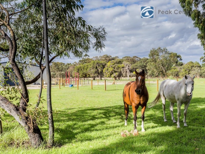 43 Blair Road, Oakford WA 6121