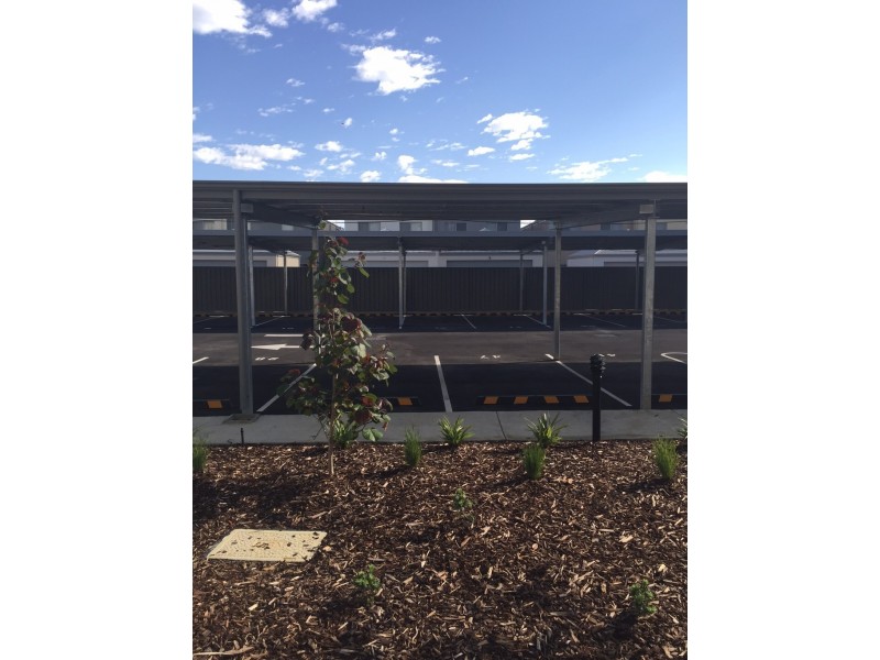 U11/55 Flourish Loop, Atwell WA 6164