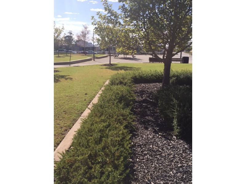 U11/55 Flourish Loop, Atwell WA 6164