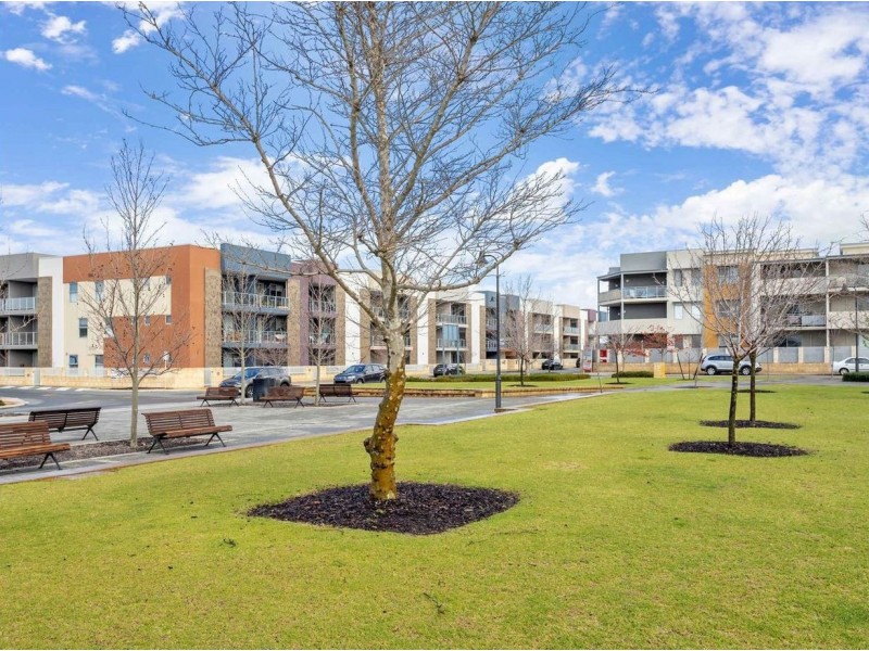 U46/55 Flourish Loop, Atwell WA 6164