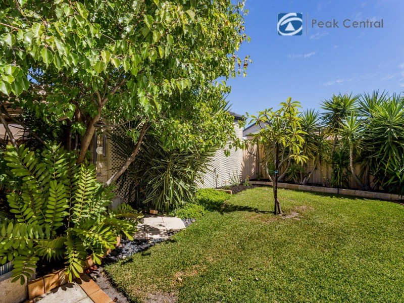 25 Windchime Tce, Atwell WA 6164