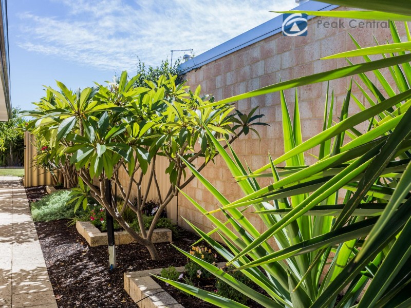 25 Windchime Tce, Atwell WA 6164