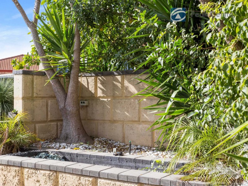 29 Birkett Avenue, Beeliar WA 6164