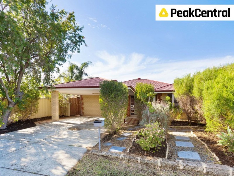 11 Dreier Court, Atwell WA 6164