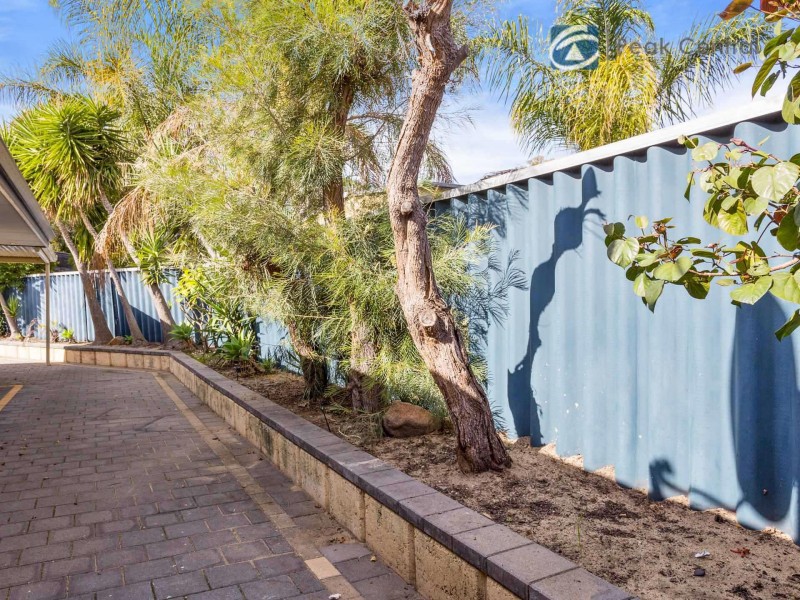 29 Birkett Street, Beeliar WA 6164