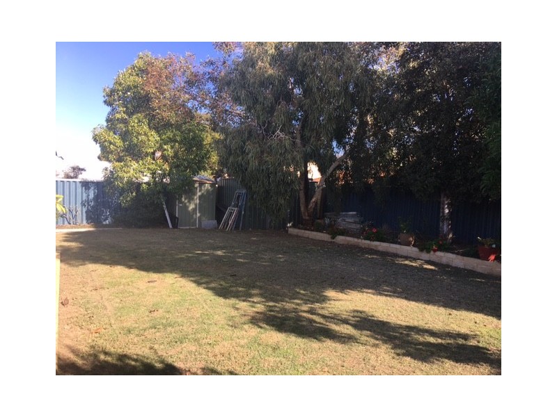 19 O’Farrell Close, Atwell WA 6164