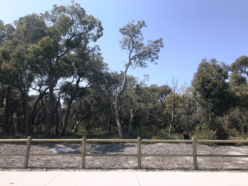 68 Delaronde Drive, Success WA 6164