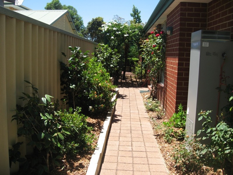 31 Lipton Mews, Atwell WA 6164