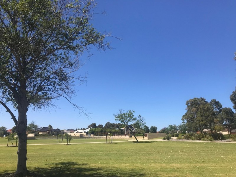 19 Wilson Pass, Baldivis WA 6171