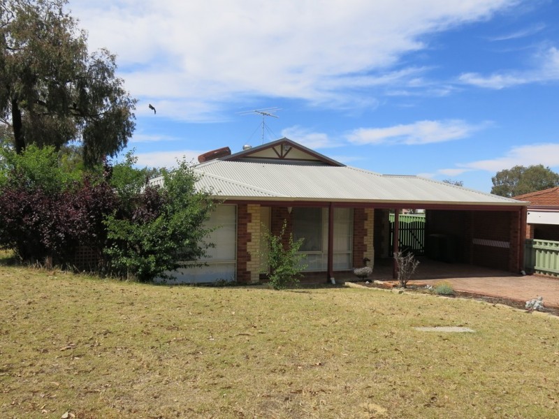 12 Hybanthus Loop, Beeliar WA 6164