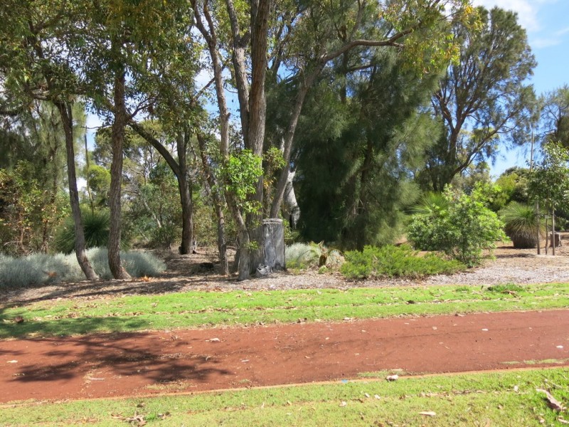 12 Hybanthus Loop, Beeliar WA 6164