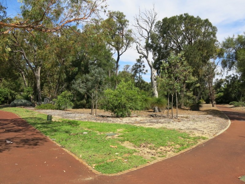 12 Hybanthus Loop, Beeliar WA 6164