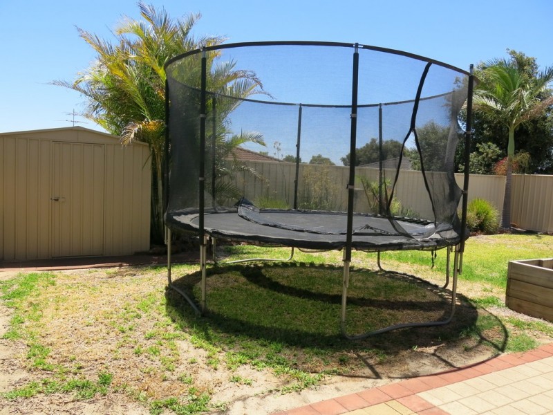 17 Ranunculus  Court, Beeliar WA 6164