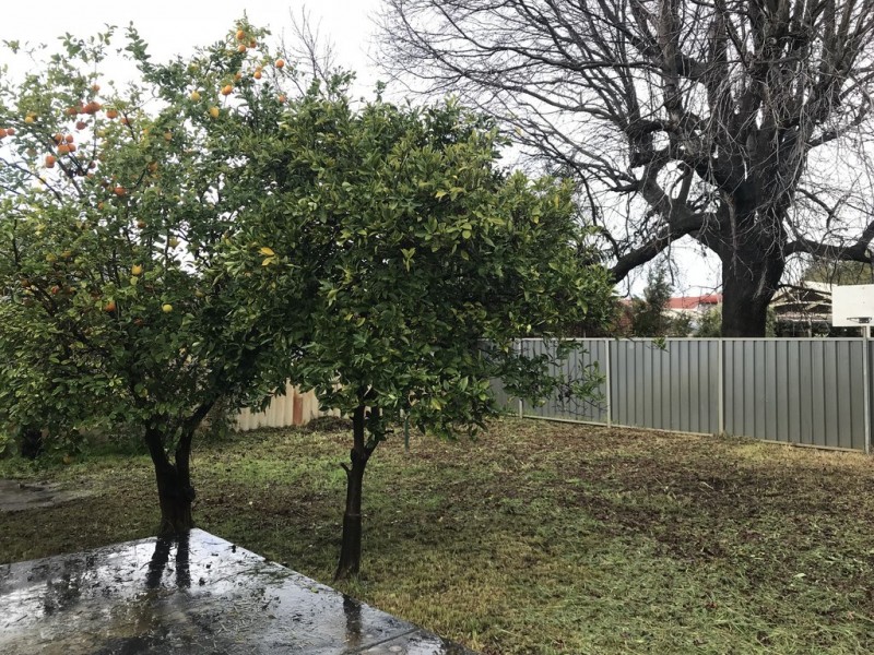 LOT 500 Suelex Street, Willetton WA 6155