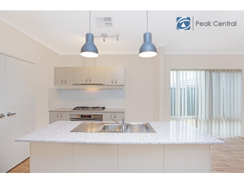 41 Wattleseed Ave, Banjup WA 6164