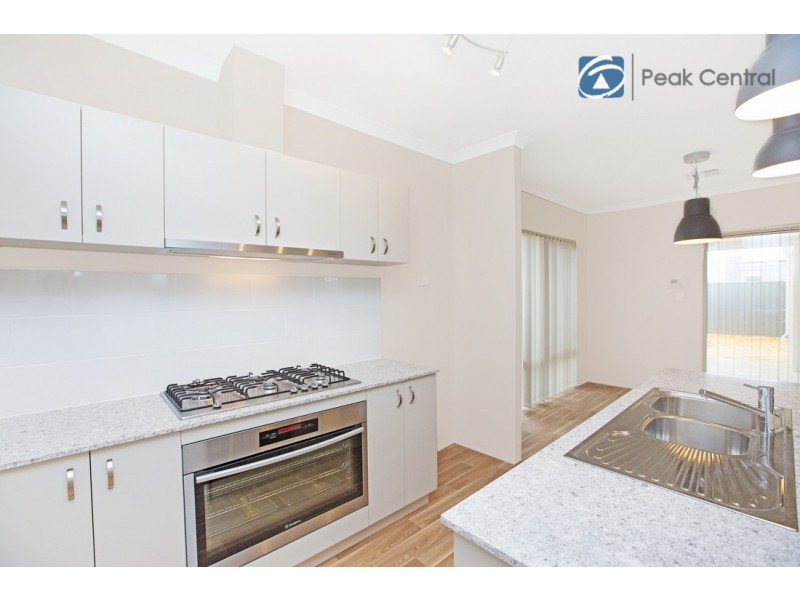 41 Wattleseed Ave, Banjup WA 6164