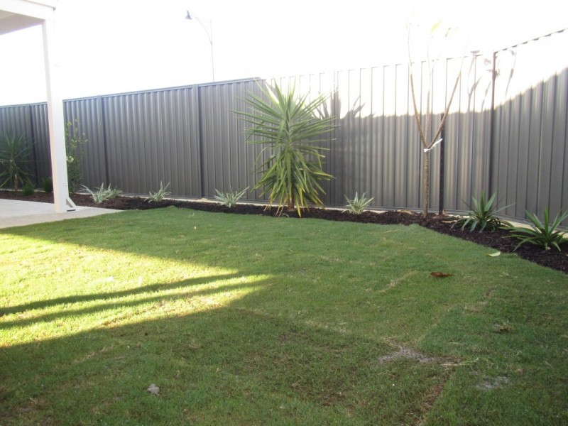 41 Wattleseed Ave, Banjup WA 6164