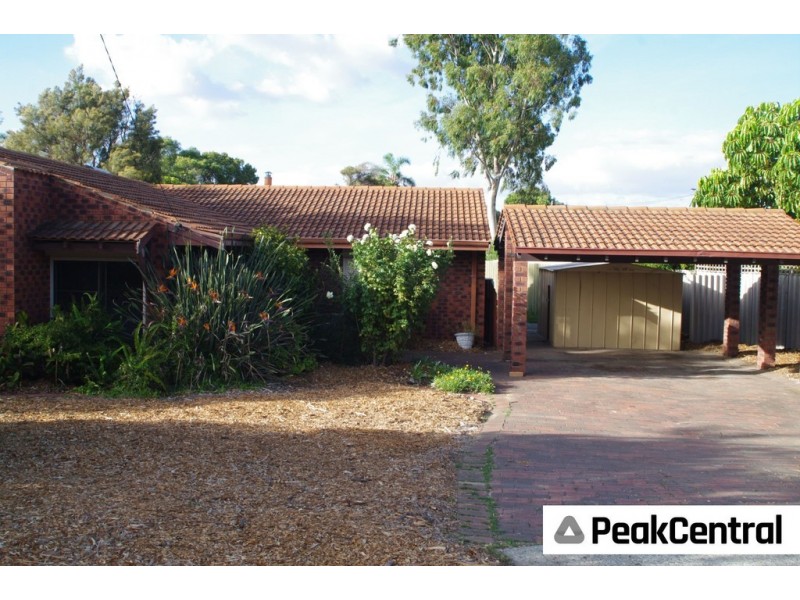 20 Dotterel Way, Yangebup WA 6164
