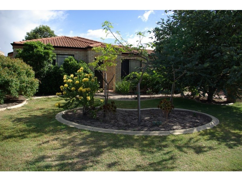 7 Molloy Circuit, Atwell WA 6164