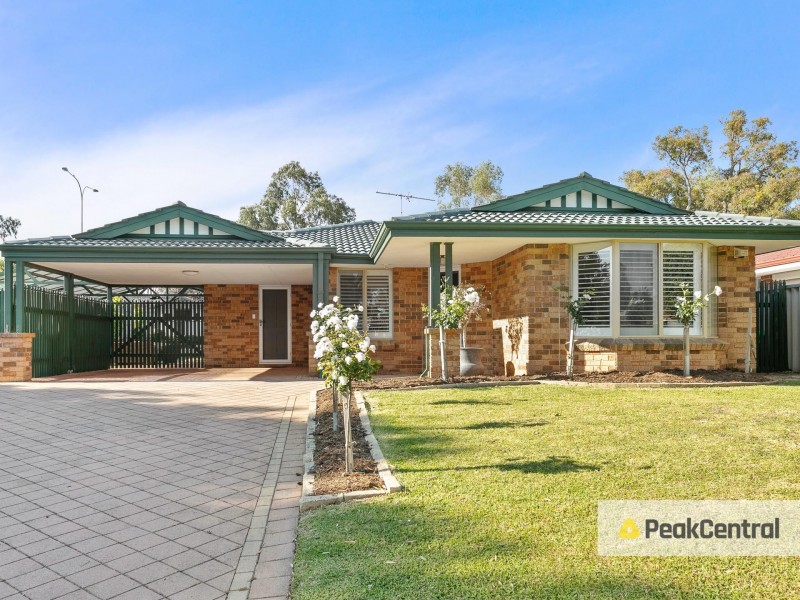 11 Fabales Close, Beeliar WA 6164