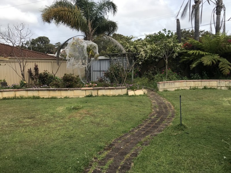 8 Ingvarson Way, Bibra Lake WA 6163