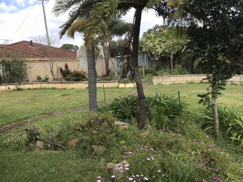 8 Ingvarson Way, Bibra Lake WA 6163