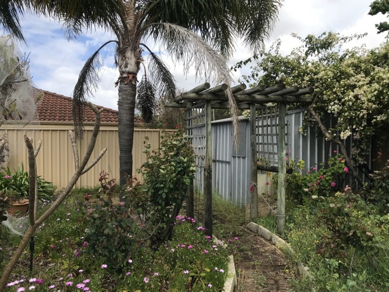 8 Ingvarson Way, Bibra Lake WA 6163