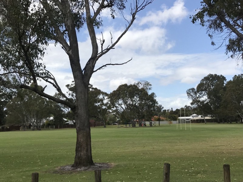 8 Ingvarson Way, Bibra Lake WA 6163