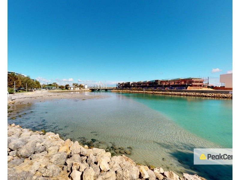 19 Scout Turn, North Coogee WA 6163