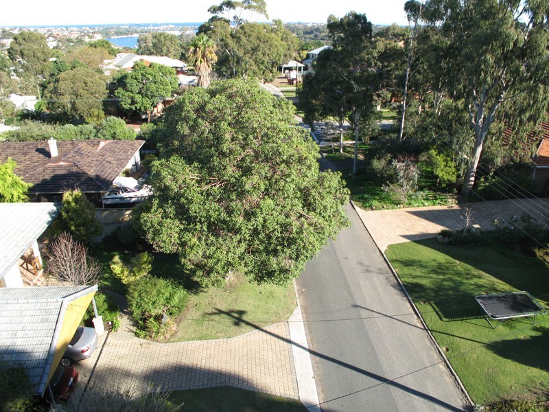 Bicton WA 6157