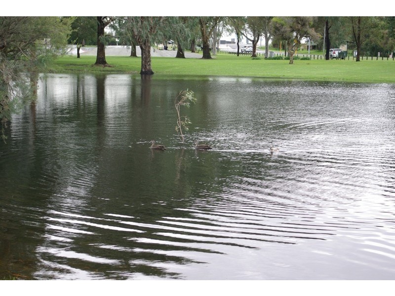 56 Folland Parade, Atwell WA 6164