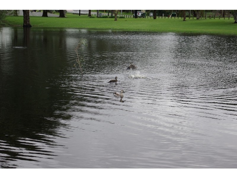 56 Folland Parade, Atwell WA 6164