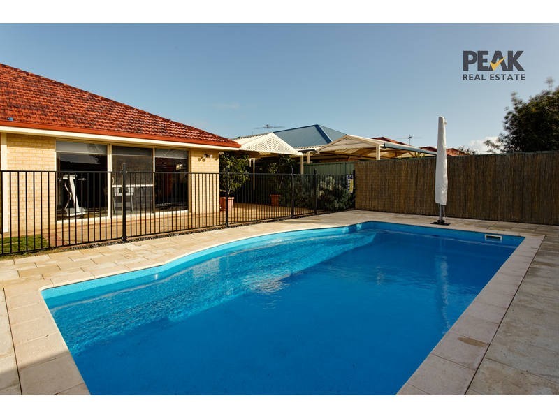 13 Dryandra Elbow, Atwell WA 6164