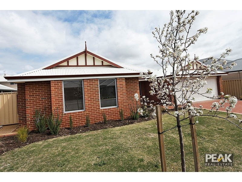 9 Neroli Link, Atwell WA 6164