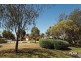 17  Connolly Mews, Atwell WA 6164