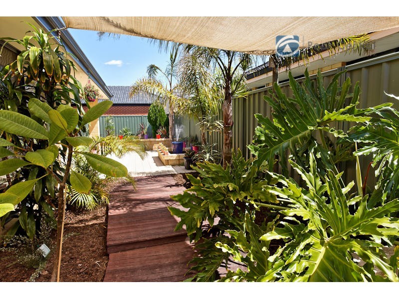 7 Sedge Link, Atwell WA 6164
