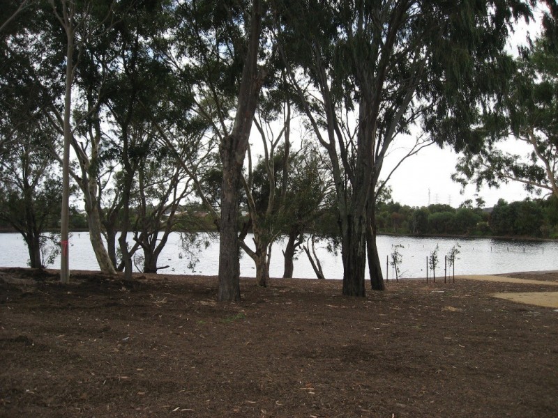 55 Mariposa Gardens, Success WA 6164