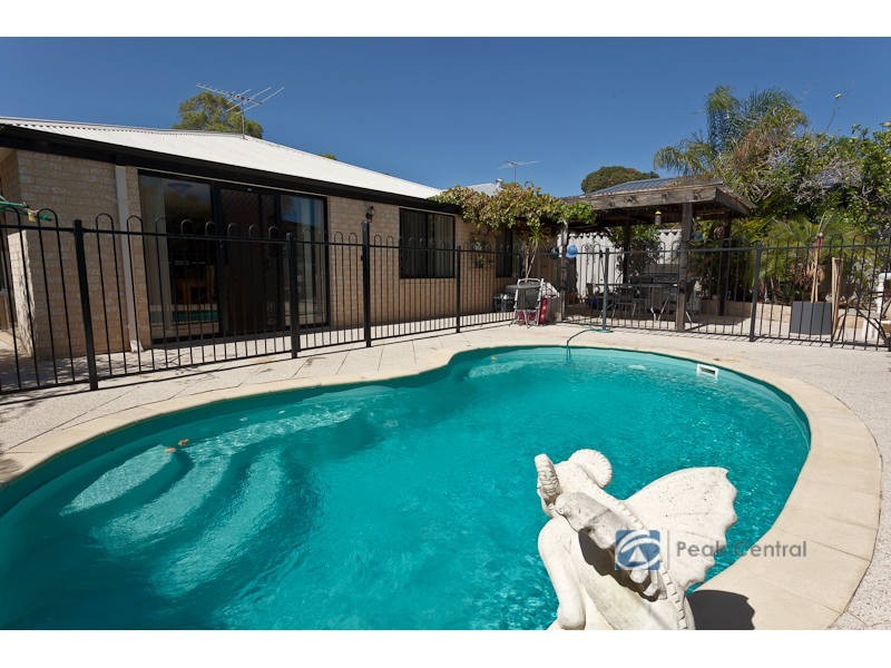 44 Senecio Lane, Beeliar WA 6164