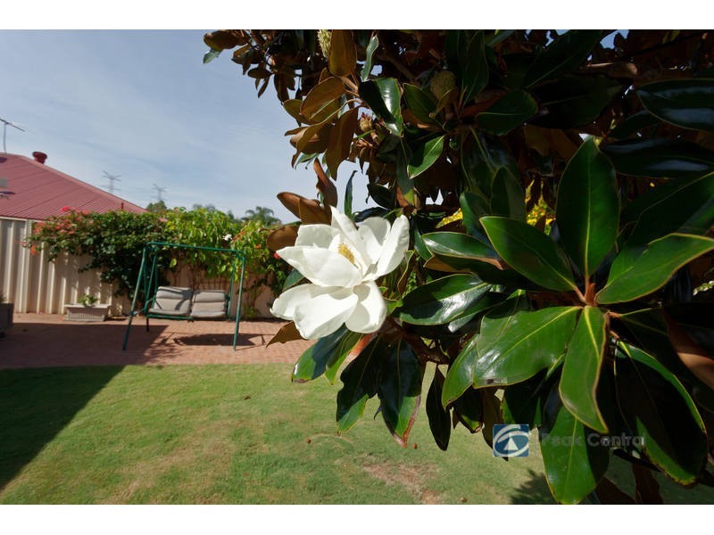 9 Lavender Way, Success WA 6164