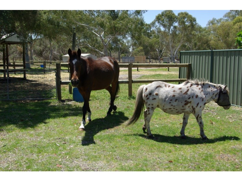 841 Armadale Road, Forrestdale WA 6112