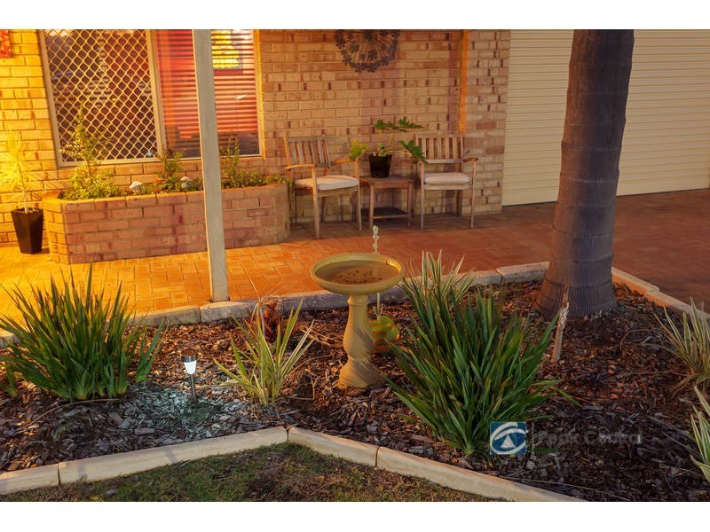 38 Torenia Way, Yangebup WA 6164