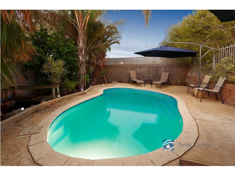 38 Torenia Way, Yangebup WA 6164