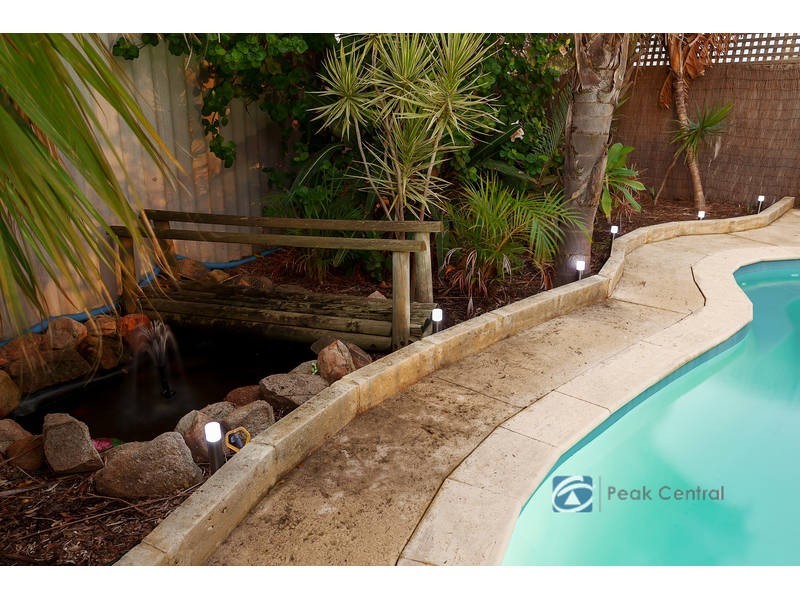 38 Torenia Way, Yangebup WA 6164