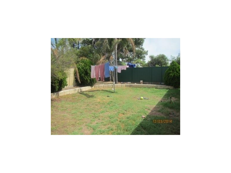 1 Marigold Place, Yangebup WA 6164