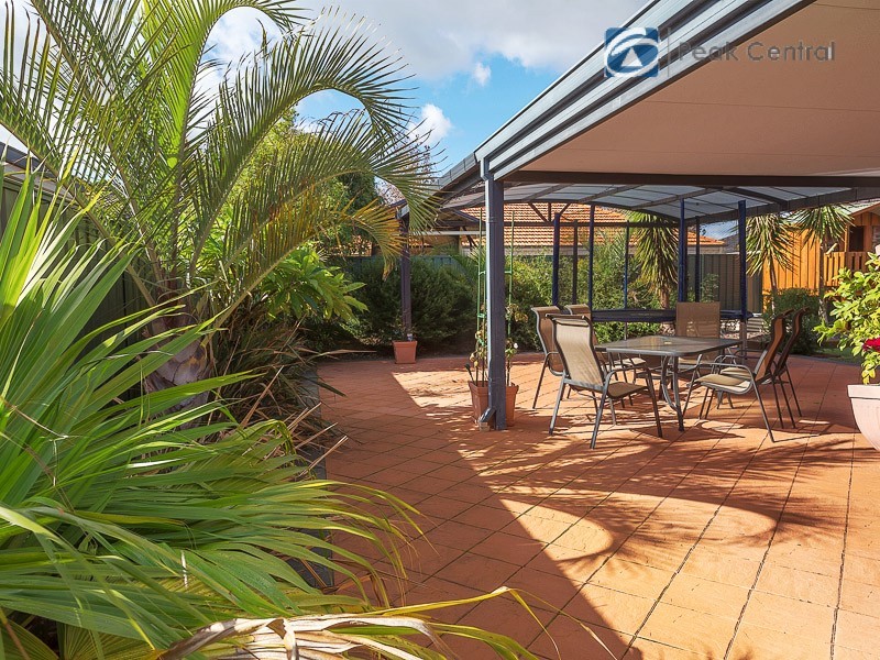 23 Dryandra Elbow, Atwell WA 6164