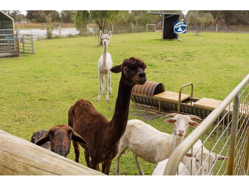 18 Cumming Road, Oakford WA 6121