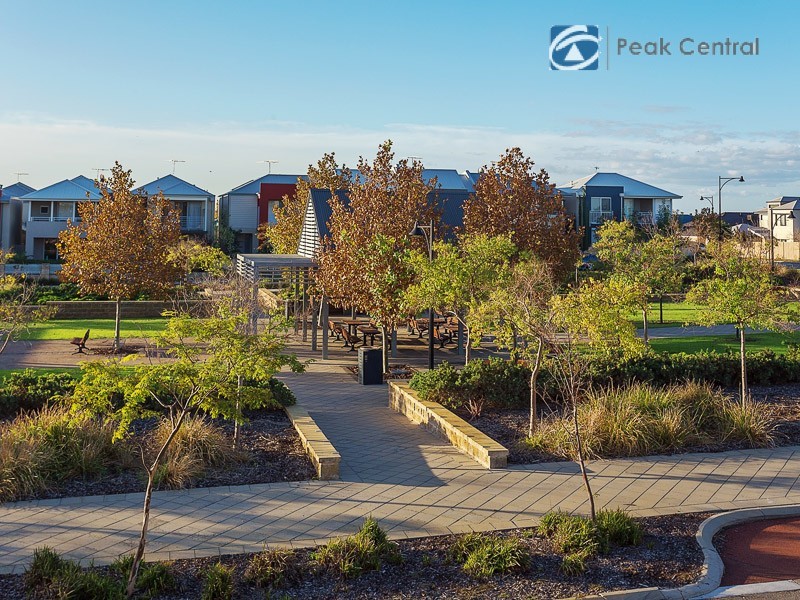 74 Congenial Loop, Atwell WA 6164