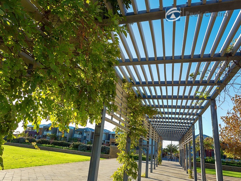 74 Congenial Loop, Atwell WA 6164