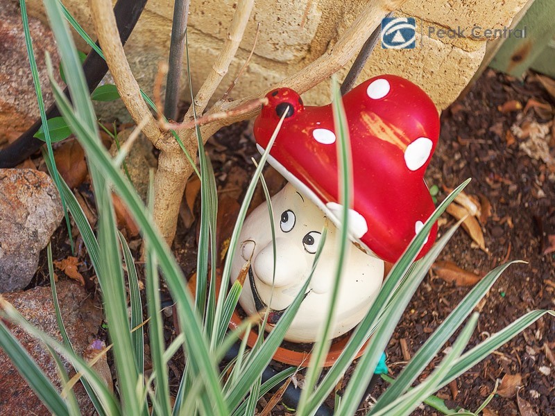 3/2 Argyle Place, Yangebup WA 6164